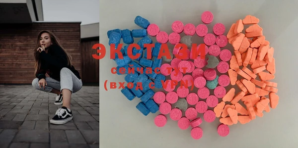 индика Краснослободск