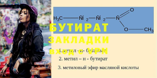 индика Краснослободск