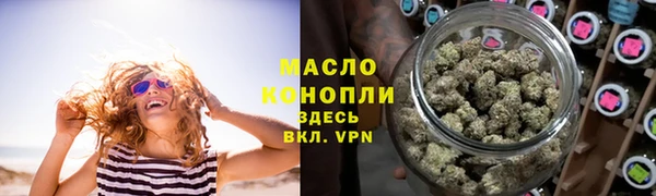 индика Краснослободск