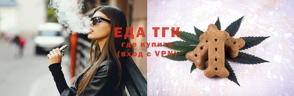 индика Краснослободск
