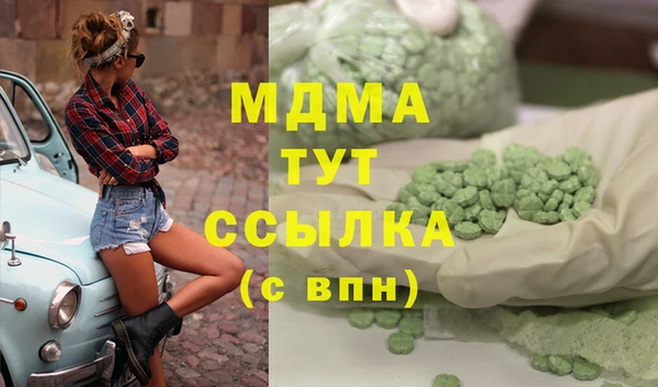 индика Краснослободск