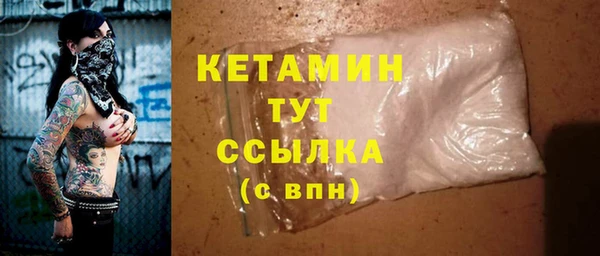 индика Краснослободск